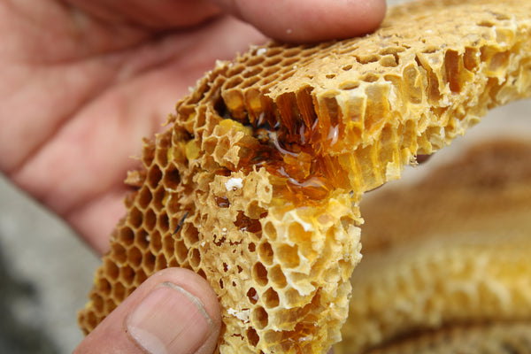 Why this local honey from the hills is good for you, the bees and the environment?