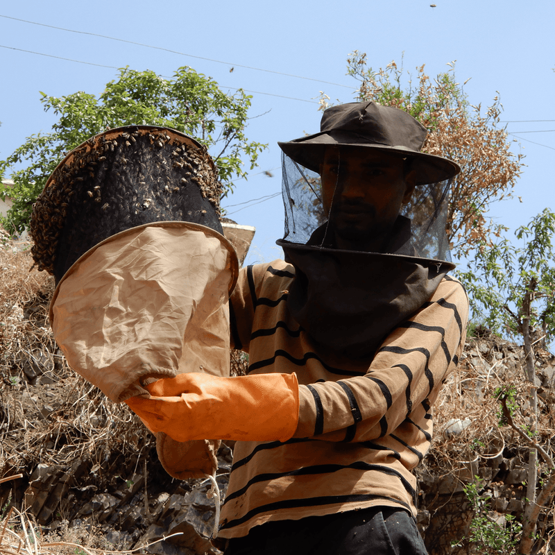 Himalayan Wildflower Honey