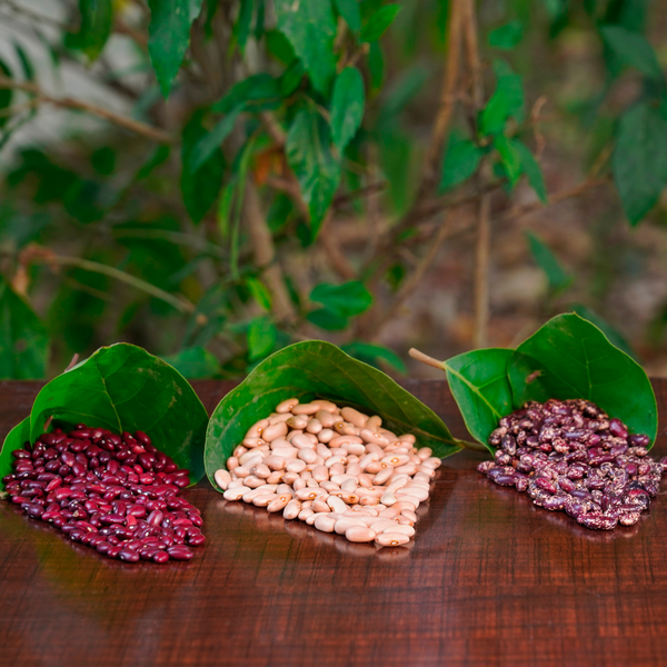 Pahadi Rajma - Multi Packs
