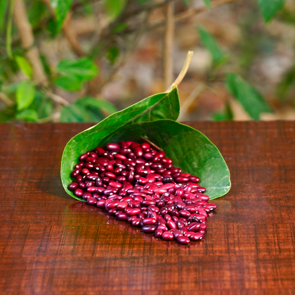 Red Rajma (Kidney Beans)