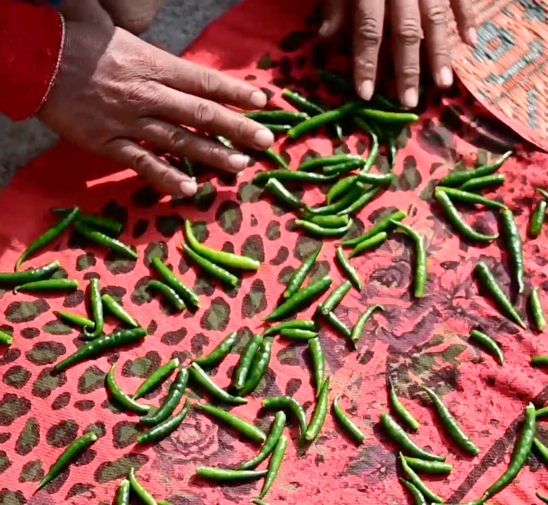 Green Chilli Pickle